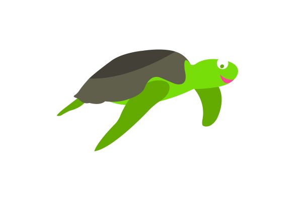 ISB_FredBrevet_Dieren_7.Schildpad_FIN
